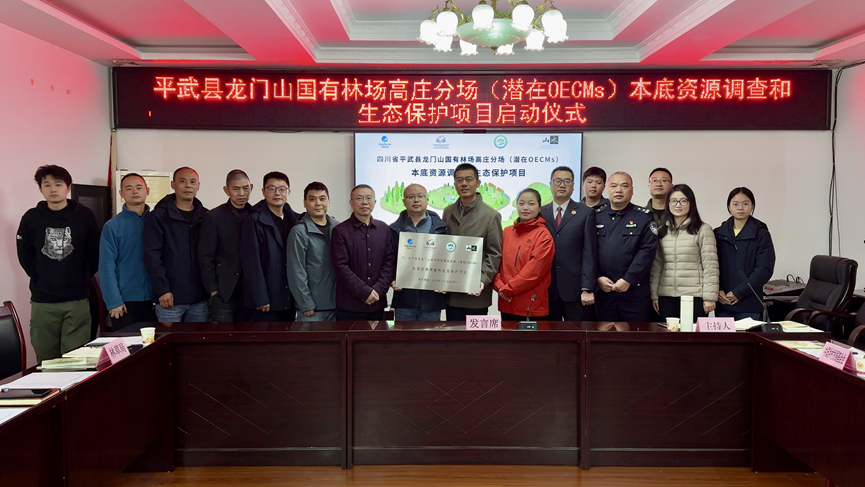 凯时集团·(中国区) 官方网站